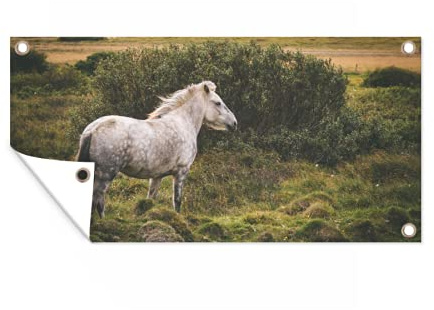 MuchoWow Poster exterieur Cheval - Blanc - Arbuste Decoration murale 60x30 cm Résistant aux intempéries/soleil