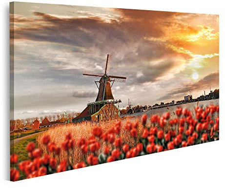 islandburner Prime Bild auf Leinwand Traditionelle Holländische Windmühlen Mit Roten Tulpen In Zaanse Schan Bilder Wandbilder Poster