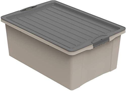 Rotho Compact Aufbewahrungsbox 38l mit Deckel, Kunststoff (PP recycelt) BPA-frei, cappuccino/anthrazit, A3/38l (57.0 x 40.0 x 25.0 cm)