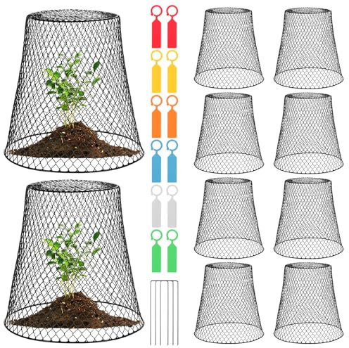 Faankiton 10PCS Cloche de Jardin en Métal, Cloche de Jardin en Fil de Fer, Cloche de Plante en Fil de Jardin en Métal, Cloche de Protection en Métal pour Jardin, Cage de Protection des Plantes, Noir