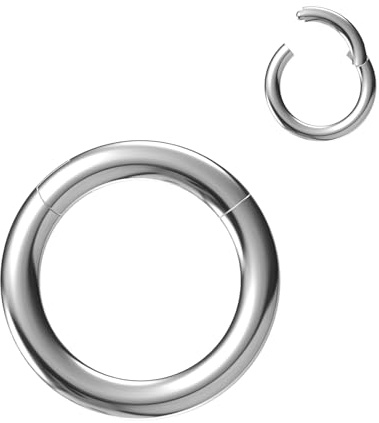 NewkeepsR 316L Edelstahl Hinged Segmentring Augenbraue Conch Daith Helix Lippe Nase Ohr Rook Septum Clicker Ringe