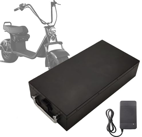 HJGHY 60v 24ah, Batería de Iones de Litio para Motocicleta eléctrica de 60 V, 12 Ah, 20 Ah, 24 Ah y 28 Ah, para Scooter eléctrico de Dos Ruedas y Bicicleta eléctrica.