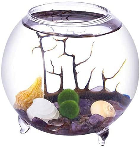 Ecosides Marimo Moss Ball Terrarium Kit, Blown Aquarium Set,Ball Glass Vase Container Desktop Decoration, With Living Moss Balls, Pebbles,Shell and Black Fan,Coral (Spherical)
