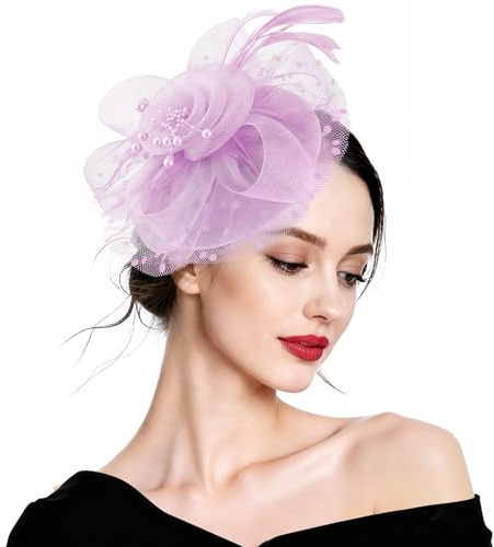 DRESHOW Fascinator Hüte für Damen Pillbox Hut mit Schleier Stirnband und Einer Gegabelten Clip Tea Party Kopfbedeckung
