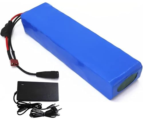 Batería para Bicicleta Eléctrica, Paquete Baterías Iones Litio 48V Y 20Ah para Bicicleta Eléctrica con Protección BMS, Batería 13S2P para Patinete Eléctrico con Cargador XT60+SM