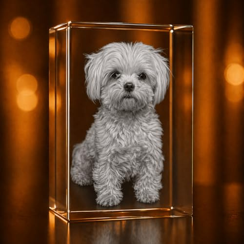 A&B Crystal Collection Personalisierter 3D-Kristall-Bilderrahmen, Tier-Design, Klein, Transparent, Viktorianisch, Unisex Erwachsene