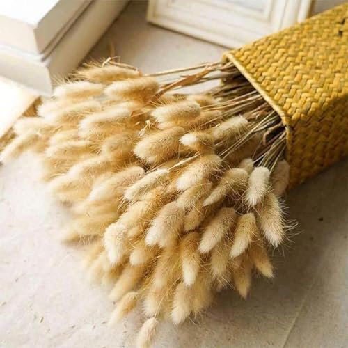 FOSANGPUSHI Fleurs séchées,100 pièces 45 cm Fleur séchée Queue de Lapin décoration de Table Herbe de Pampa Moelleuse pour Arrangement Floral queues de Lapin séchées Mariage décor à la Maison Style 5
