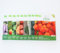 CULTIVERS 10 Semillas de Hortalizas de Fruto Ecológicas: Calabacín, Pepino, Tomate Liguria, Berenjena Tsakoniki, Pimiento, Sandía Baby, Melón, Calabaza Red Kuri, Calabacín, Tomate Corazón De Buey