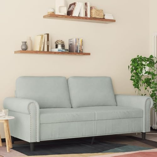 Hellgraues 2-Sitzer-Sofa, Komfortable Sitze für Entspannung und Unterhaltung