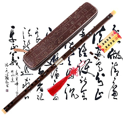 Professionelle Flöte Dizi, NICOSHINE Chinesisches Instrument im Alter von Palisander Dizi C Key