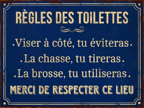 Jm-Déco Plaque Règle des Toilettes en Aluminium Humour Rigolo Fun 20x30 cm