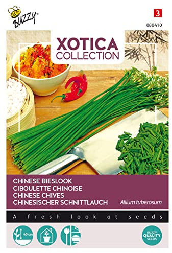 Buzzy Xotica Chinese Chives