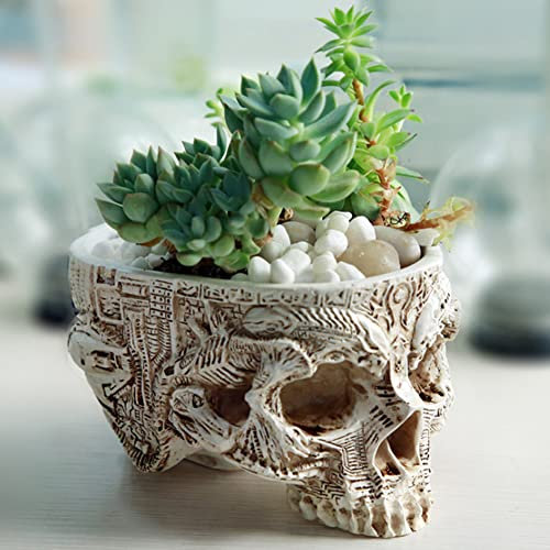 Tiestos para Plantas, Planta Maceta, macetas de Flores, plantador de Calavera Resina Skeleton Flower Pot jardín Suculento para Decoraciones de Escritorio de Oficina en casa