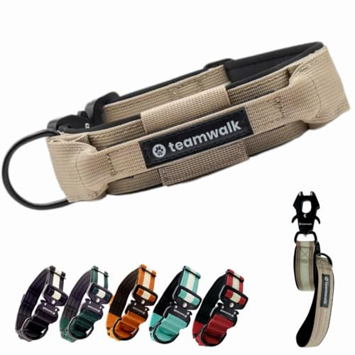 teamwalk® Premium Hundehalsband - mit Magnetgriff, Leuchtstreifen, Air-Tag Tasche, individuell einstellbar, weiche Polsterung, robuste Schnalle, mit passender Leine erhältlich, JETZT NOCH Leichter(M)