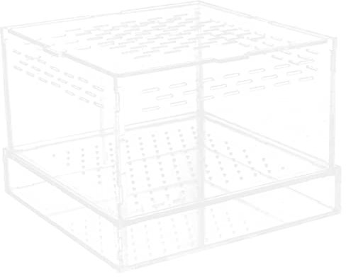 Milisten Acrylgehege Für Springspinnen Robust Und Langlebig Lichtdurchlässig Sicher Anwendung Geeignet Für Urzeitkrebse Und Insektenhaltung