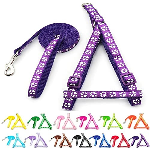 Small Dog Puppy Pet Cat Kitten Harness and Lead Set Pawprint Design Nylon Adjustable Chest Size 21-34cm and 120cm Leash Purple