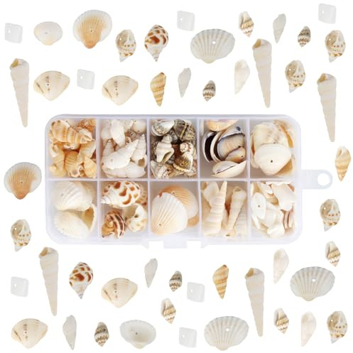 Muscheln Deko, 150 Stück+ Gemischte Muscheln, Conch, Natürliche Muscheln zum Basteln mit Loch für Strand-Mottopartys, Hochzeitsdekorationen, DIY Muschelkette, Kerzenherstellung, Aquarium, Vasenfüller
