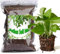 Bio-Pothos-Erde Mischung 4L, Zimmerpflanzen-Blumenerde für alle getopften Pothos, Gesunde Zimmerpflanzen drinnen züchten