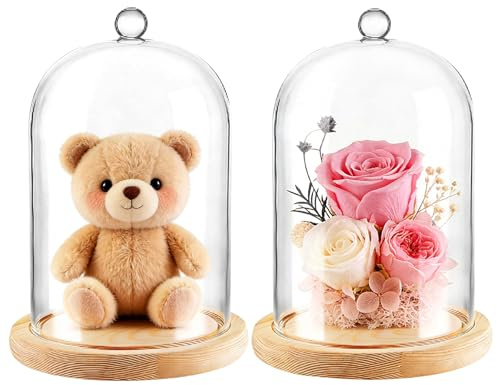 LDHHYH 2 stycken glaskopplar med trägolv 12 x 18 cm transparent glasklocka med handtag glashuva glasklocka för gör-det-själv-utställning och samlarobjekt