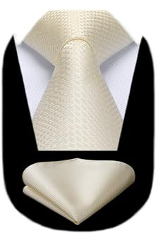 HISDERN slipsar för män enfärgad formell slips klassisk bröllop slips med näsduk set elegant affärsslips män fest, Ljus champagne, En Storlek