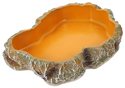 ibasenice Bassin Alimentation pour Tortue Bol De Nourriture pour Lézard Décoration pour Terrarium