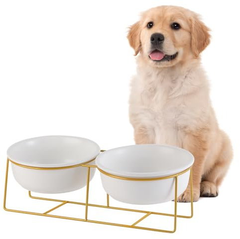 Dog Food and Water Bowl - Tilted Elevated Dog Bowls with Metal Stand - Double Ceramic Dog Bowl Set - Raised Cat Feeding Bowl Anti Vomit - Pet Dish for Small to Medium Dogs and Large Cats - 2 x 800 ml
