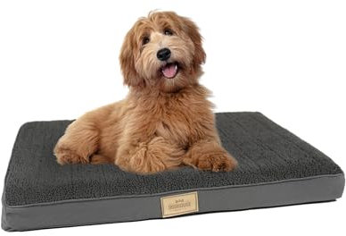 Doghouse Premium Hundebett kleine Hunde 77x51x9cm Hundematte Waschbar, Hundekissen flauschig, Hundematratze für kleine Hunde in Anthrazit