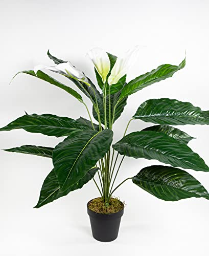 Seidenblumen Roß Spathiphyllum Real Touch 70cm mit 3 Blüten im Topf ZJ Kunstpflanzen künstliche Pflanzen