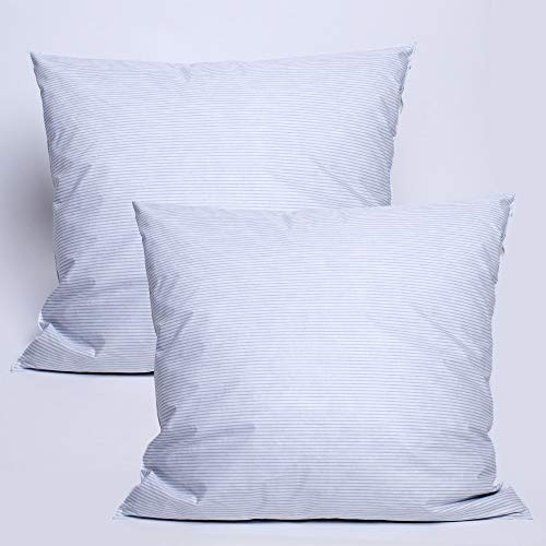 UNIVERSDECOR Lot de 2 oreillers Plumes 60 x 60 cm Dodo