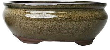 Macetas de cerámica esmaltada para bonsái sin bandejas (verde oliva, 20 cm)