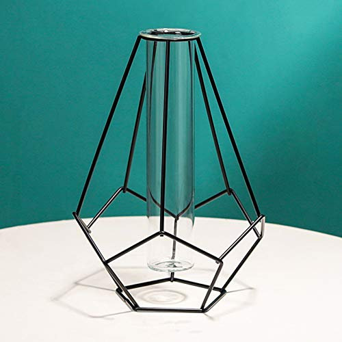 RESOYE Vaso in vetro da scrivania con telaio in metallo nero, 22,5 cm, moderno vaso geometrico cavo, vaso decorativo per coltura idroponica, per casa, matrimonio, decorazione per la casa