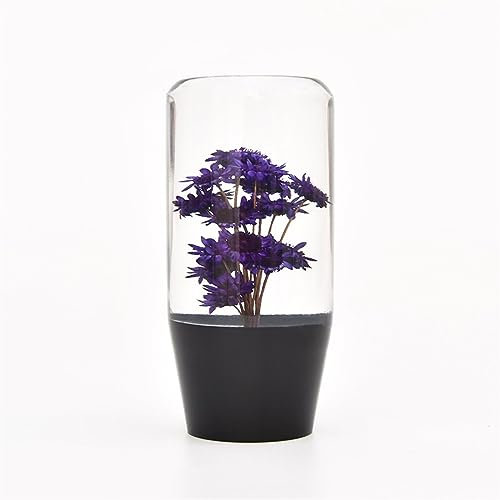 Car Schalthebelknopf PC-SK48E 10CM Universal Schaltknauf Acryl Kristall Transparent 7 Farben Auto Manuelle Schalthebel Schaltknauf Schaltmanschette Knauf (Farbe : Purple)