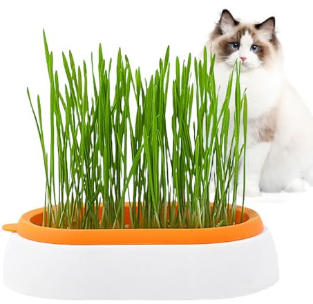 Wilmot Katzengras-Wachstumstopf - Hydroponisches Katzengras-Tablett | Keimtablett für Katzen, Hunde und andere Haustiere im Innen- und Außenbereich, verhindert Haarballen und fördert die Verdauung,