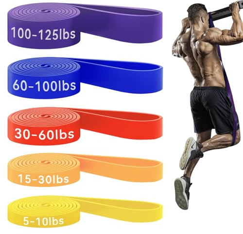 HAPBEAR Pull Up Assistance Bands - Pull Up Bands - Resistance Bands - Exercise Bands Resistance Bands Set - Workout Bands for Working Out, Stretching, Muscle Training - Colorful (5-125LBS)