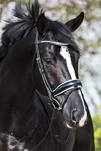 Premiera Verona anatomisches Trensenzaum (warmblut, Schwarz/weiß)