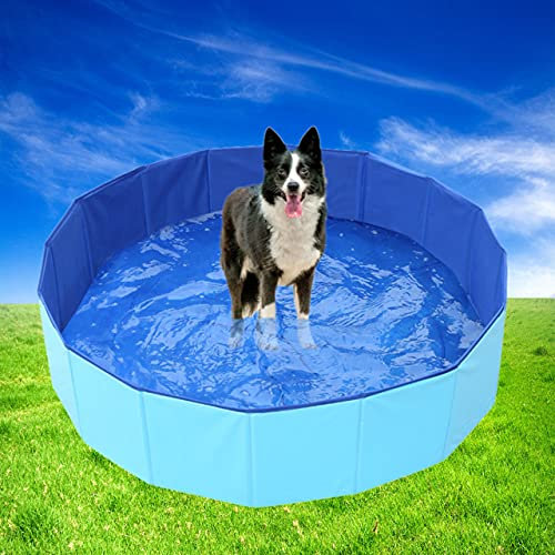 Cozywind Piscina per Cani 120 X 30cm Pieghevole Piscina Rigida per Cani Grandi, Medi e Piccoli Piscina per Animali Domestici e Bambini Antiscivolo in PVC 100% Sicuro & Non TOS