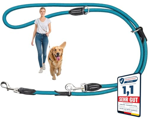 Leisegrün Hundeleine Derby | 2m Länge, Robustes Nylon, Flexibel Verstellbar für mittelgroße bis große Hunde | Tiefes Petrol