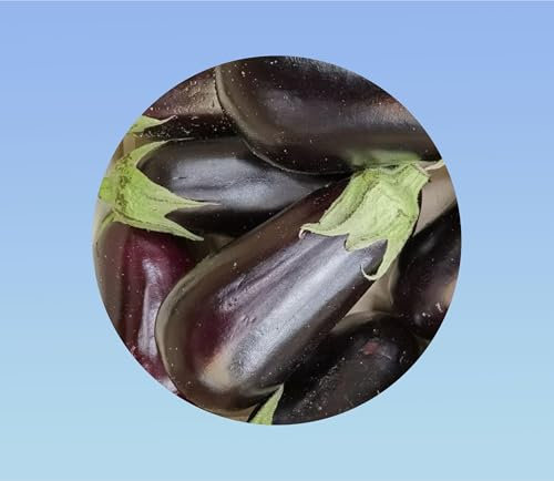 50 semillas berenjena Violeta de Barbentane