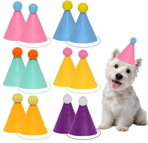 Avxzbef 12Pcs Stuffed Toy Party Hats Birthday Party Mini Cone Hats for Dolls Cat Dog Kitten Puppy Rabbit Birthday Party Decorations