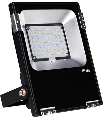 Proyector LED RGB + CCT 20 W radiofrequence RGB + ww-cw sin