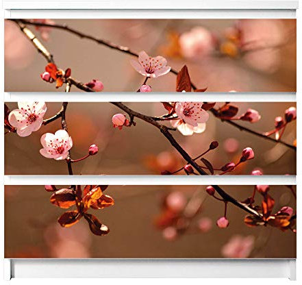 banjado® Möbelfolie selbstklebend für die IKEA Malm Kommode 3 Schubladen - Schrankfolien selbstklebend mit Motiv Blühender Kirschzweig/Möbelfolie Malm für Kinder