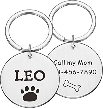 Haustier-ID-Tags Kundenspezifischer Name Adresse Haustier-Erkennungsmarken Katzenhalsband Haustier-ID-Erkennungsmarken Halsbänder Edelstahl-Katzenmarken-Zubehör, Silber, M 25 x 25 mm