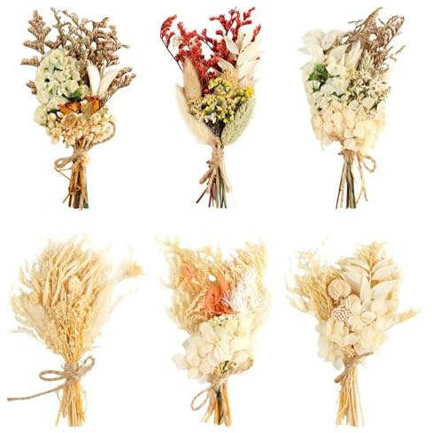 6 Bündel Trockenblumenstrauß Klein, Natürliche Trockenblumen zum Basteln Weiß Beige, Mini Getrocknete Blumen für DIY Handwerk Heimdekoration Hochzeitsdekoration