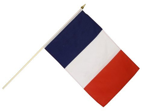 Flaggenfritze Stockflagge Frankreich - 30 x 45 cm