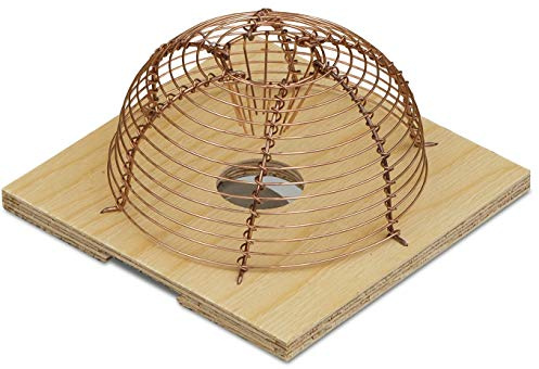 Windhager Korb-Mausefalle, lebendfalle für Mäuse, Mäusefalle, Mäuse fangen, 05330