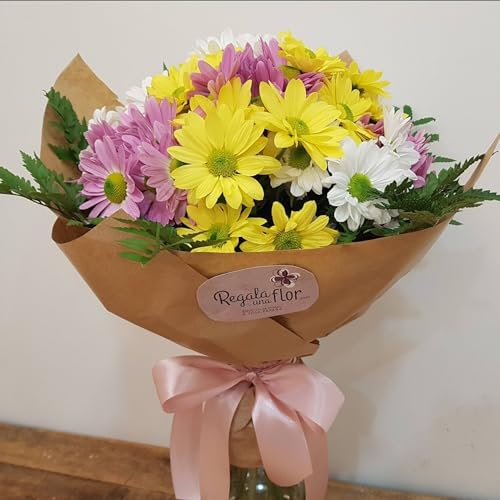 REGALAUNAFLOR | Ramo de flores naturales a domicilio | Entrega puntual en 24 horas de Lunes a Sábado | Con tarjeta de dedicatoria | Margaritas variadas