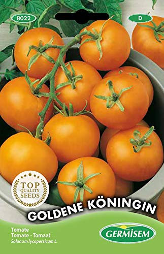 Germisem Tomate GOLDENE KÖNIGIN EC8022 mehrfarbig