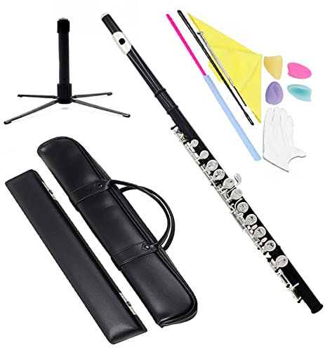 TSTS 16-Loch-C-Key-Flöteninstrument Mit Koffer, Rucksack, Reinigungsstäbchen, Wischhandschuhen, Flötenzubehör Einsteiger Querflöten (Color : 05)