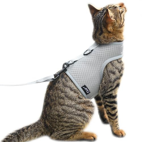 Katzengeschirr und Leine zum Spazierengehen, ausbruchsicher, atmungsaktives Netzgewebe, einfarbig, grau, klein, verstellbar, gepolstert, stilvolle Katzenweste