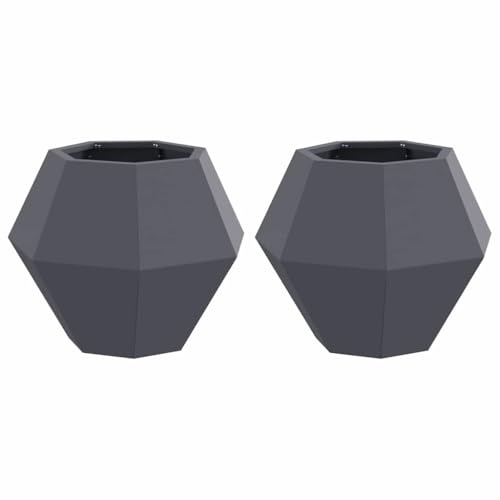Tomostar Lot de 2 Bac à Fleurs, Bac à Plantes Pot de Fleurs Jardinière Balcon Jardin 2 pcs Anthracite 50 x 50 x 40 cm Acier